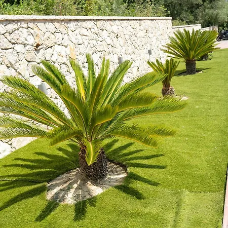 Once Upon A Summer Villa Afra